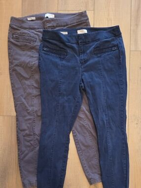 LOFT Outlet Skinny Ankle Pants Petite in Navy and Gray Size 8P